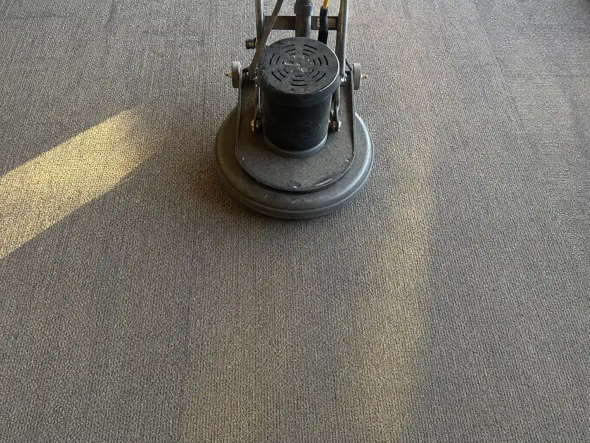 Commercial Carpet Cleaning in Calabasas, CA