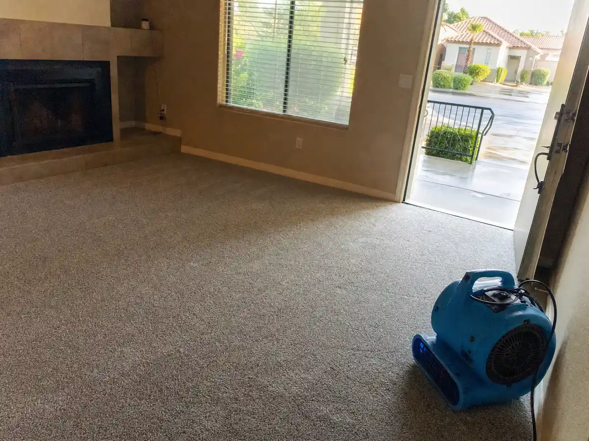 Freshly cleaned carpet with the furniture back in place — completed job in Calabasas, CA