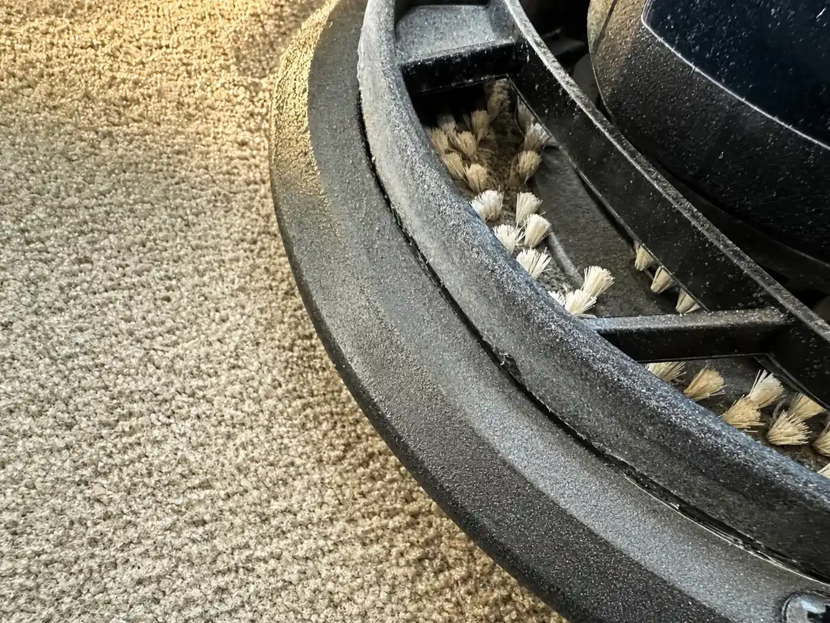 Dry Carpet Cleaning in Calabasas, CA